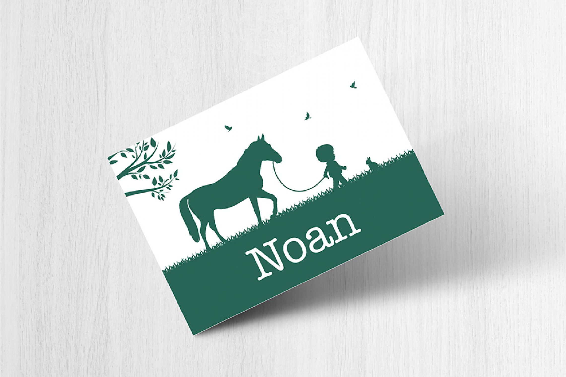 Jongen met paard